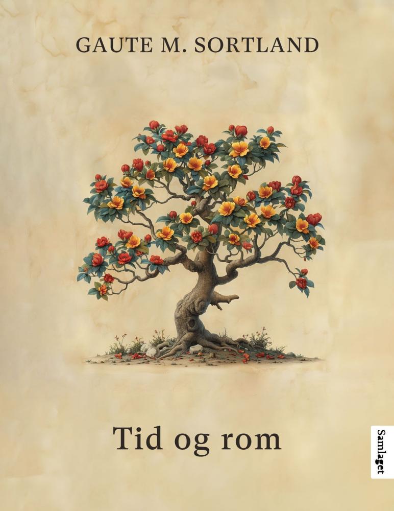 Tid og rom (Hardcover)
