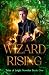 Wizard Rising: Tales of Lei...