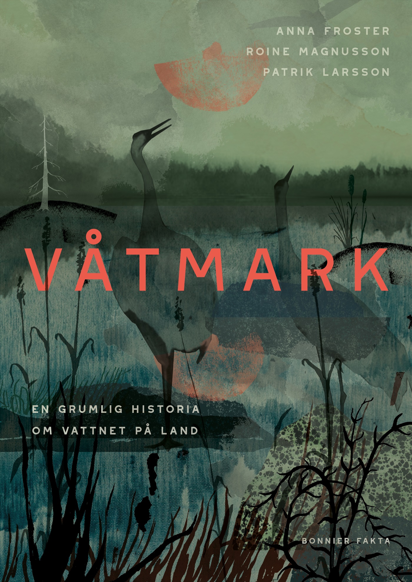 Våtmark : en djupdykning i grunda vatten (Hardcover)