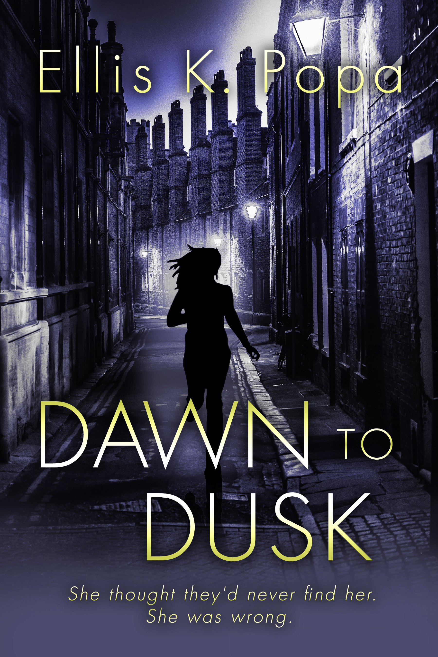 Dawn to Dusk (The Awaken Saga, #2)