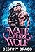 Mate for the Lone Wolf