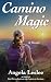 Camino Magic (Camino Curious Series Book 1)
