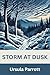 Storm at Dusk by Ursula Parrott