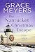 The Nantucket Christmas Escape 2 by Grace Meyers