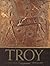 Troy by Nick McCarty