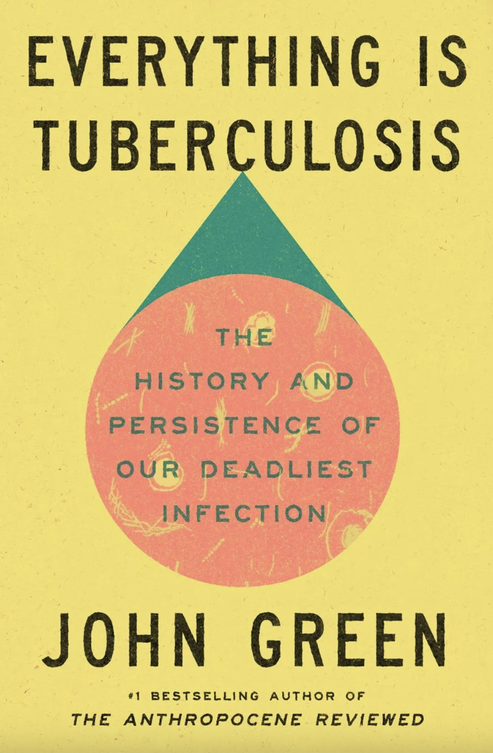 Cover of Everything Is Tuberculosis: The History and Persistence of Our Deadliest Infection