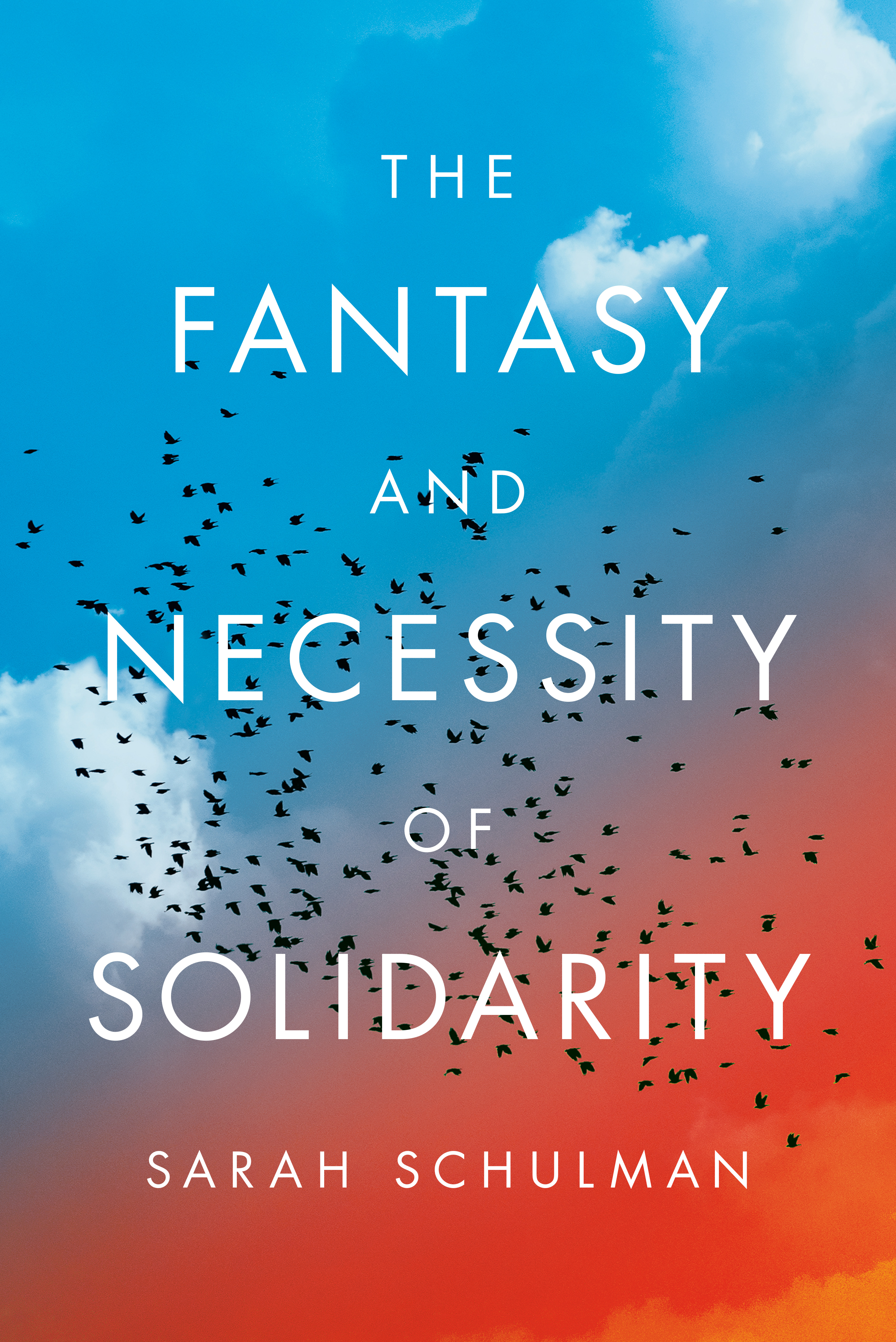 The Fantasy and Necessity of Solidarity (Hardcover)