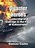 Disaster Heroes: Leadership...