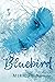 Bluebird