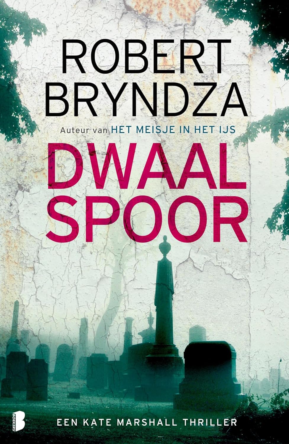 Dwaalspoor (Kate Marshall, #5)