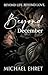 Beyond December by Michael  Ehret