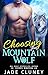 Choosing the Mountain Wolf (Briar Falls Wolfpack Book 5)