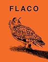 FLACO: The Owl Who Escaped Captivity and Won the Hearts of the World