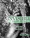 Invisible From Ab...
