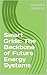 Smart Grids: The Backbone o...