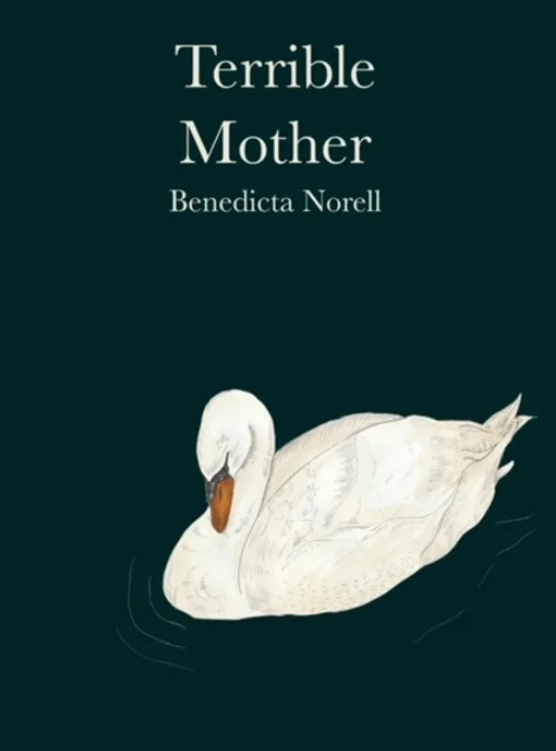 Terrible Mother (Paperback)
