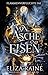 Von Asche und Eisen (Flammenverfluchte Fae, #3)