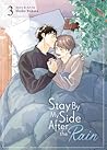 Stay By My Side After the Rain, Vol. 3