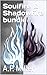 Soulfire & Shadowfire bundle