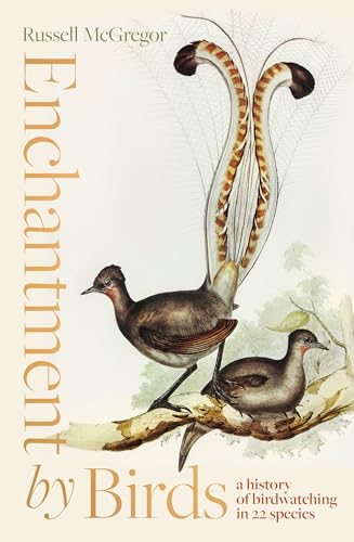 Enchantment by Birds (Paperback)