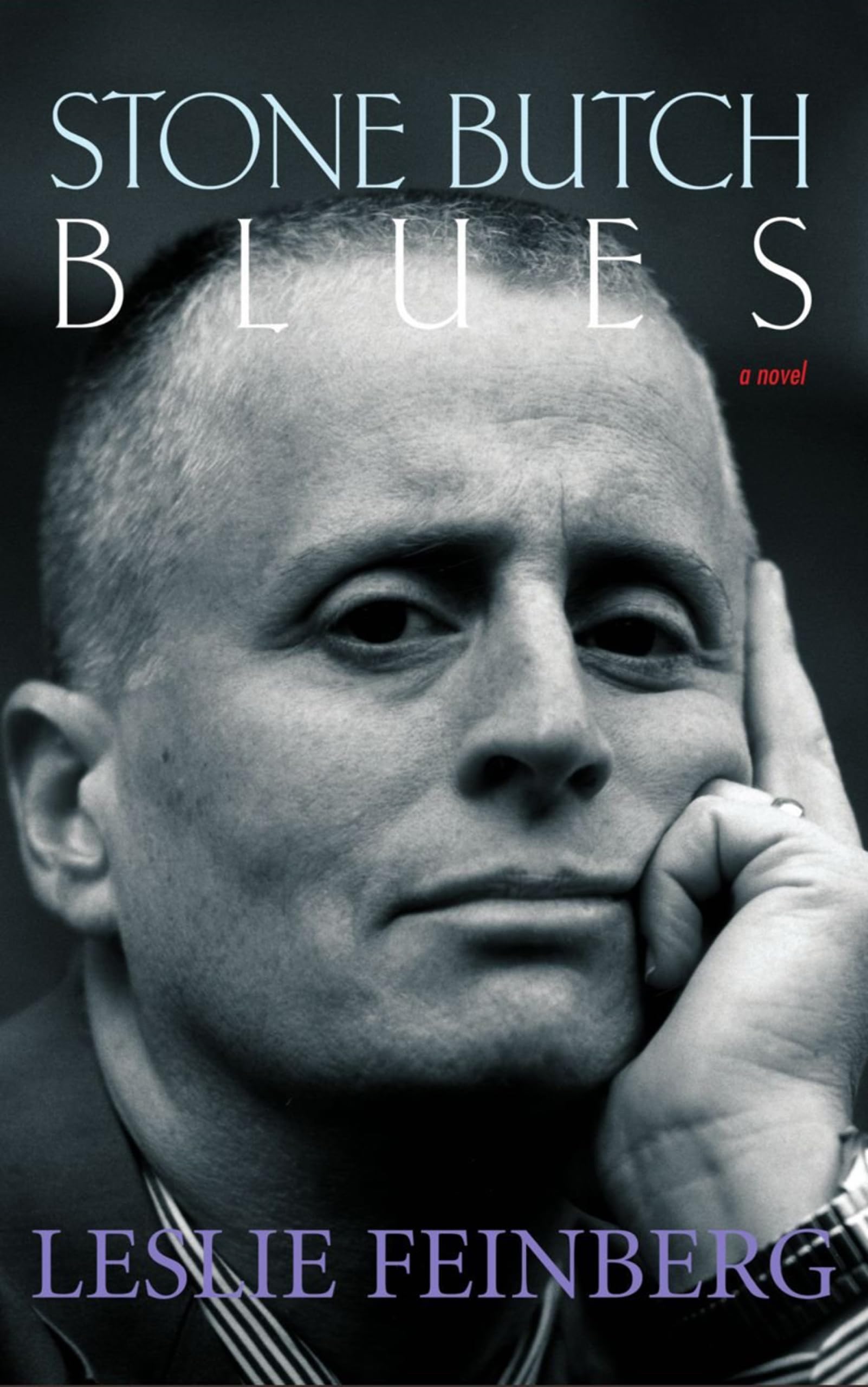 Cover of Stone Butch Blues
