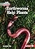 Earthworms Help Plants (In ...