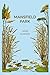 Mansfield Park
