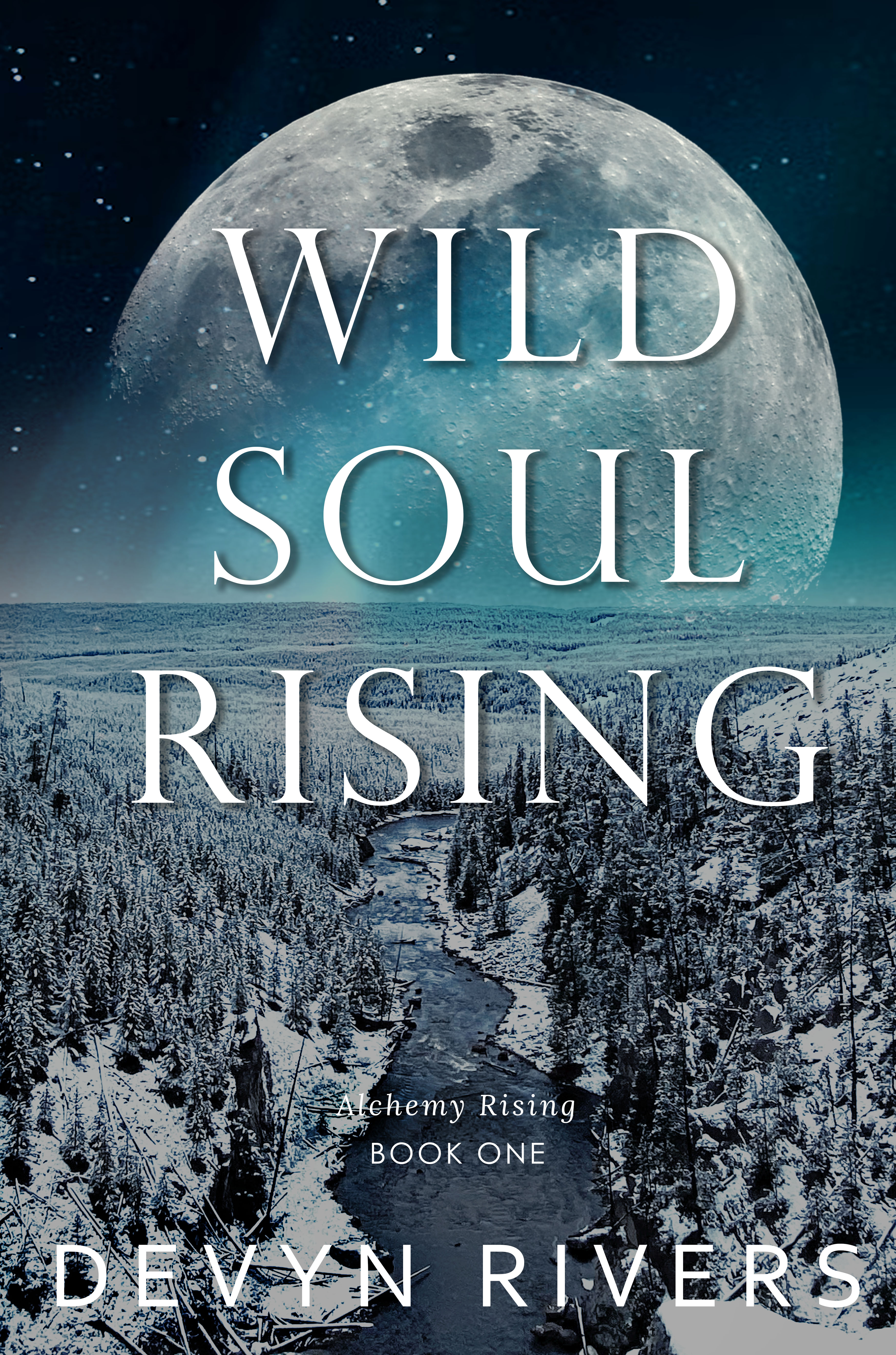 Wild Soul Rising (Alchemy Rising #1)