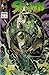 Spawn volumen 1 numero 28 (Spawn, #31)