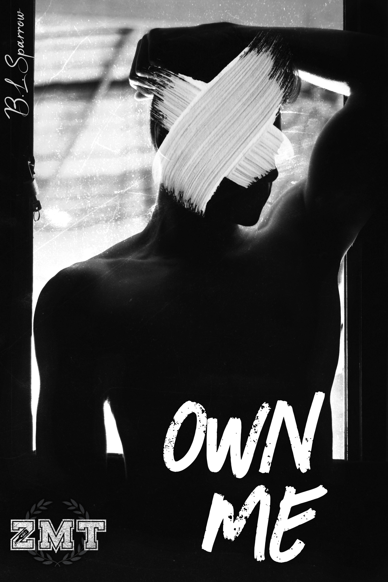 Own Me (Zeta Mu Tau #3)
