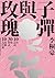 子彈與玫瑰: 十年訪談，三十場對話，十萬個為什麼【電子...