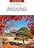 A Quick Guide To ... Andong