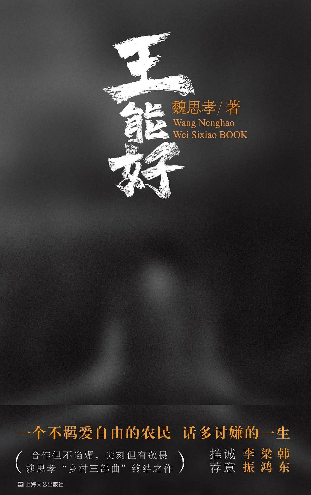 王能好