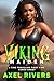 Viking Maiden: A Time Trave...