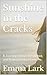 Sunshine in the Cracks: A J...