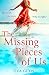 The Missing Pieces of Us: T...