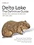 Delta Lake: The Definitive Guide: Modern Data Lakehouse Architectures with Data Lakes