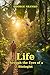 Life Through the Eyes of a ...