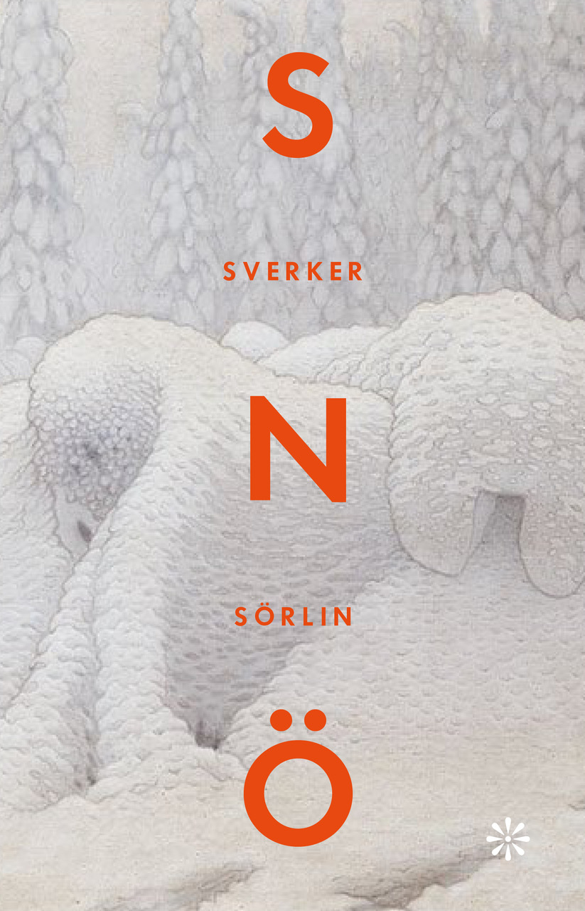 Snö : en historia (Hardcover)