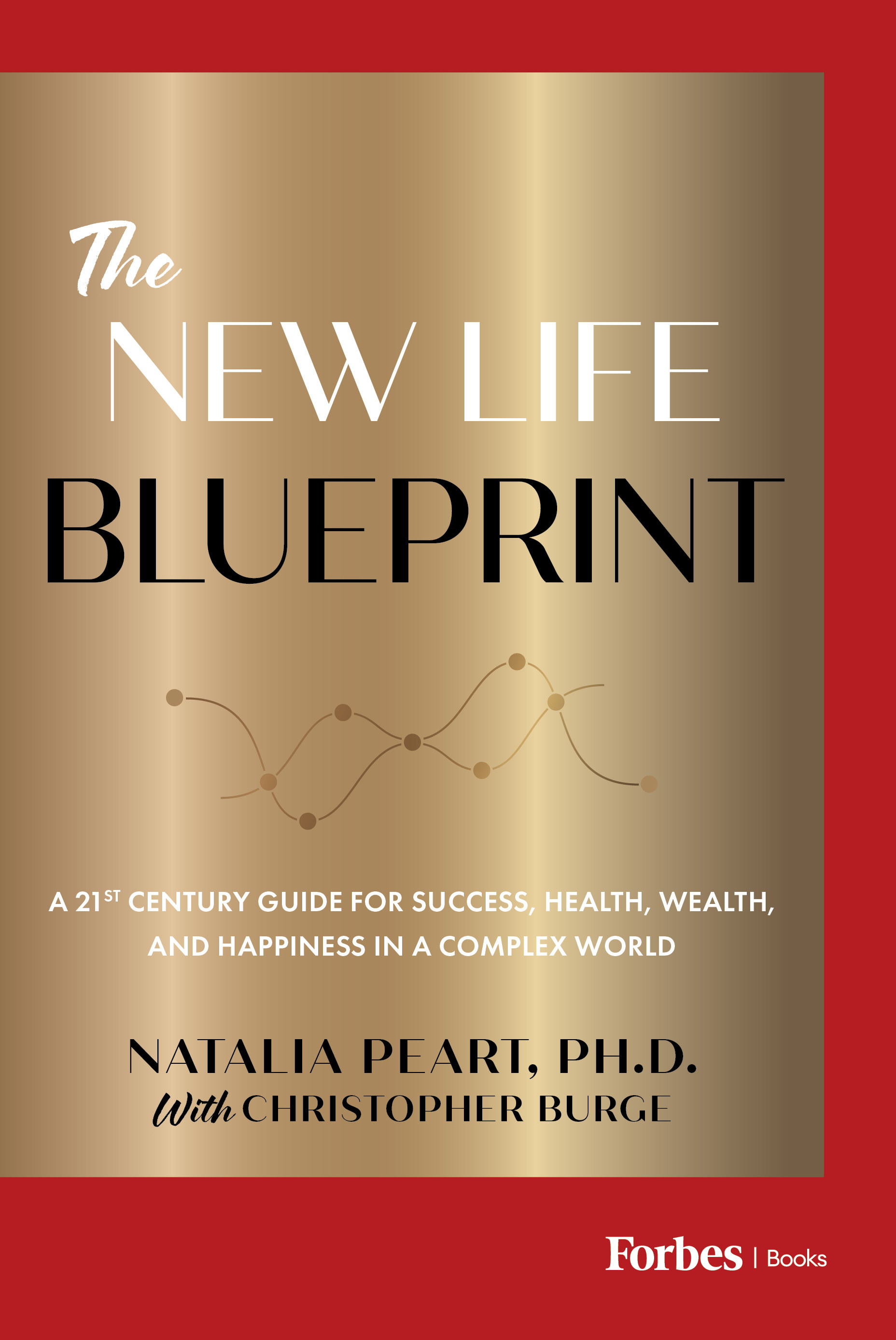 The New Life Blueprint: A 21st-Century Guide for Success, Health, Wealth, and Happiness in a Complex World (Hardcover)