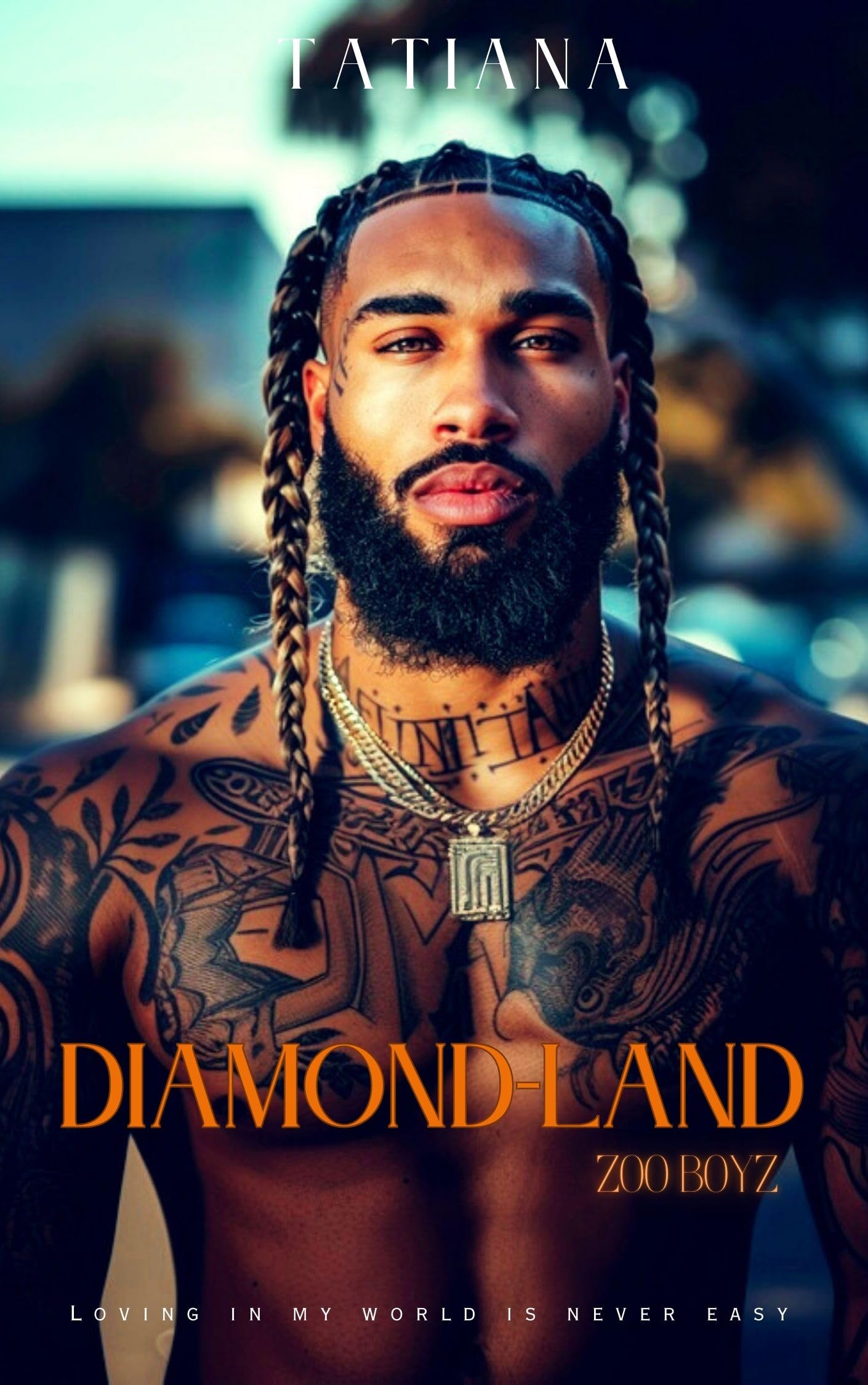 DIAMOND-LAND (Zoo Boyz: Street Chaos Book 3)