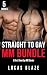 Straight To Gay MM Bundle by Lucas Blaze Straight To Gay MM Bundle by Lucas Blaze