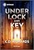 Under Lock and Key (West Investigations #11)
