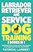 Labrador Retriever And Service Dog Training by Patricia Lambert