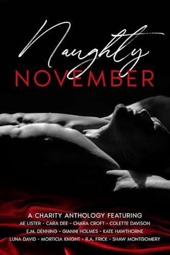 Naughty November: A Charity Anthology (Paperback)