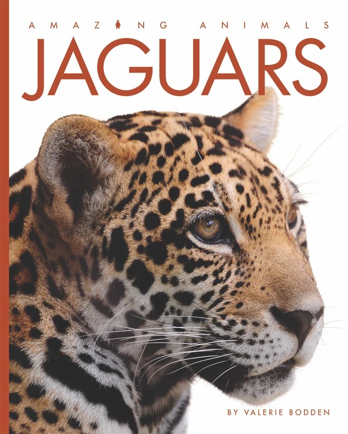 Jaguars (Amazing Animals)