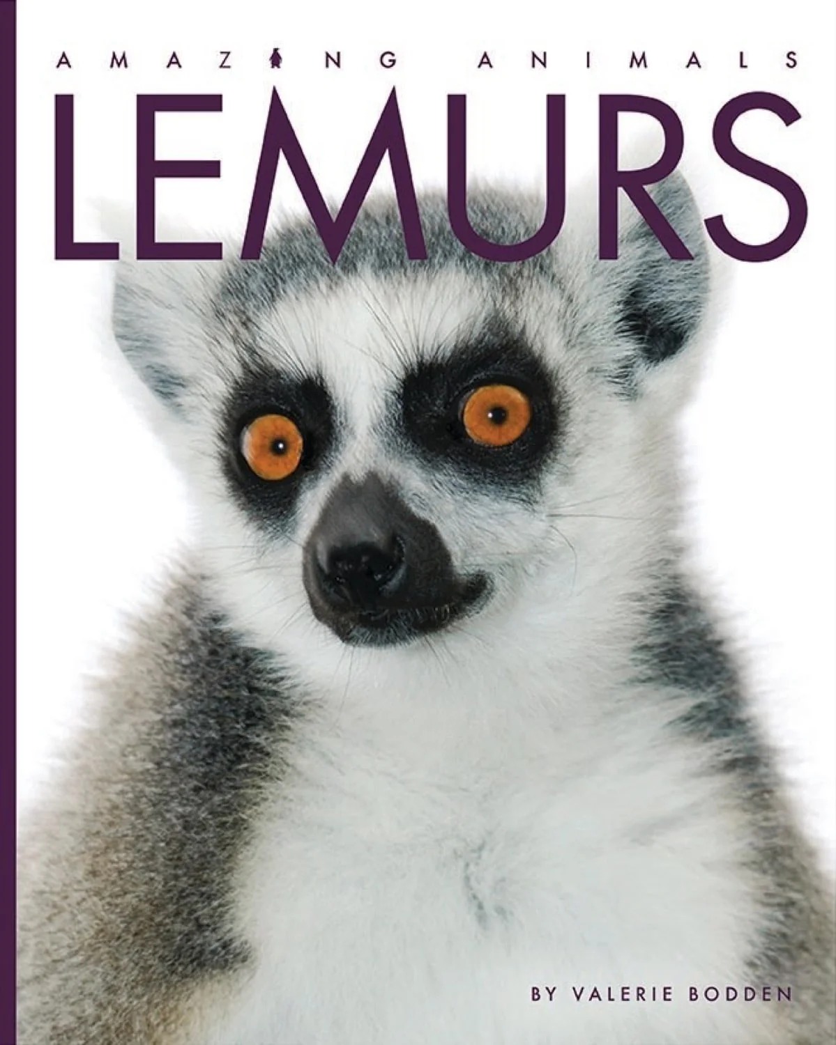 Lemurs (Amazing Animals)