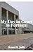 My Day in Court in Portugal