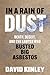 In a Rain of Dust by David Kinley