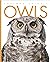 Owls (Amazing Animals)